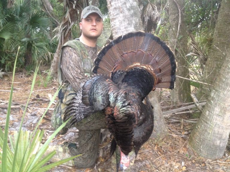 Hunter holding a wild turkey