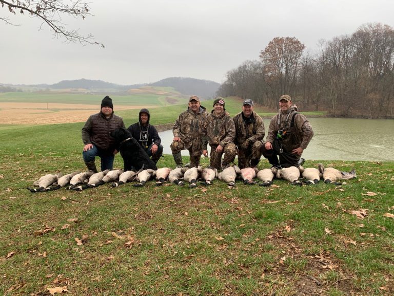 Hunters with a row of geese in a field