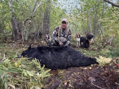 Hunter kneeling behind a harvested black bear with the hounds