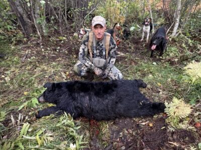 Hunter with a black bear and hunting dogs in the forest